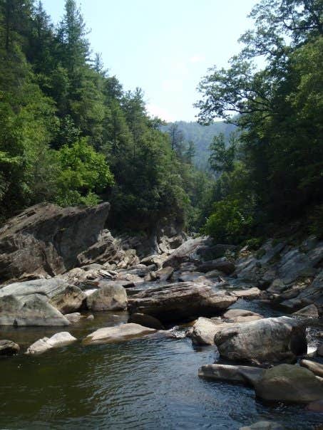 Camper-submitted photo at Linville Falls Campground — Blue Ridge Parkway near Connelly Springs, NC