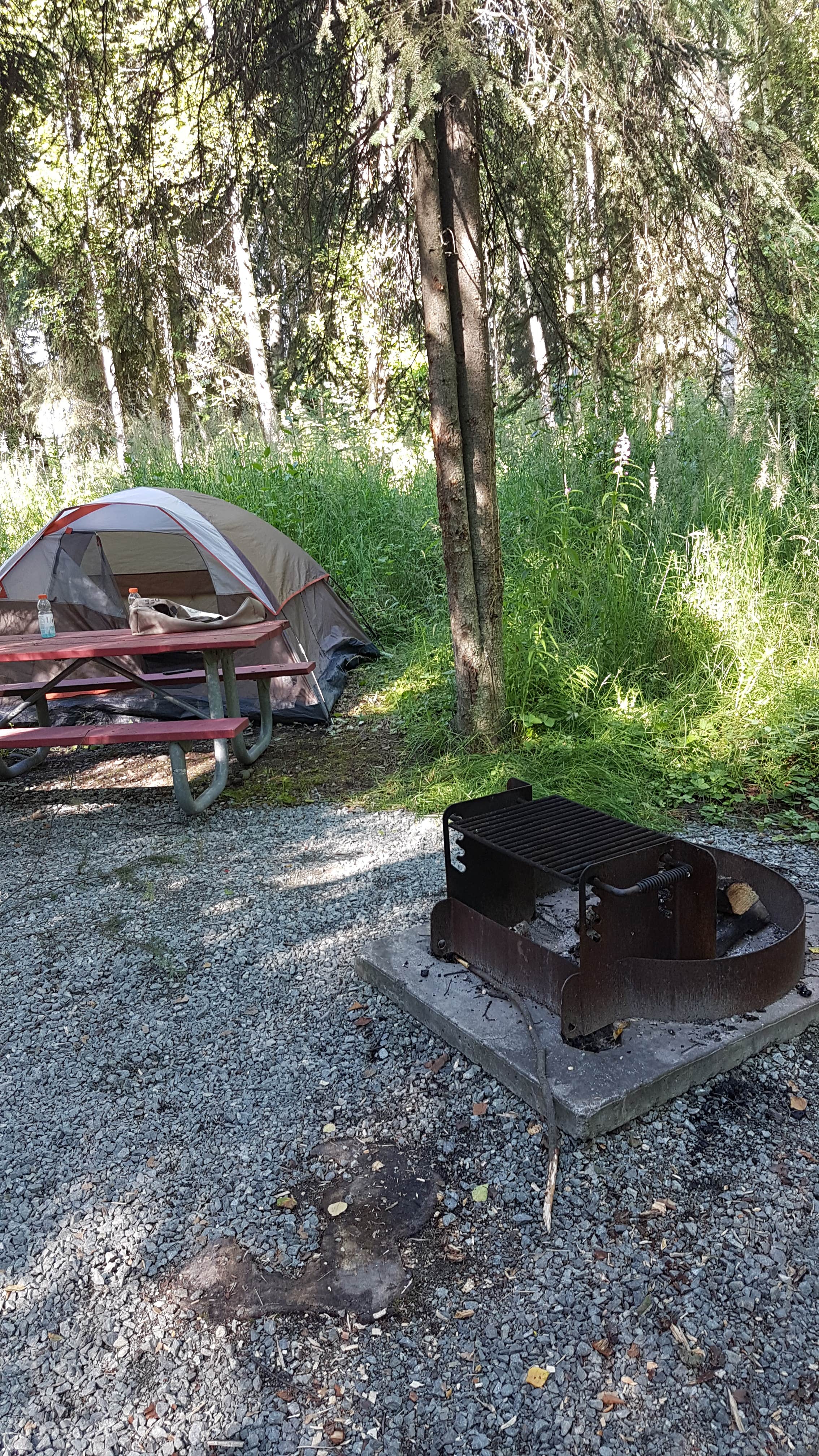 Andre A.'s photo at Centennial Camper Park near Hope, AK