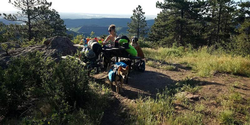 Camper submitted image from Backcountry Campground — Horsetooth Mountain Open Space