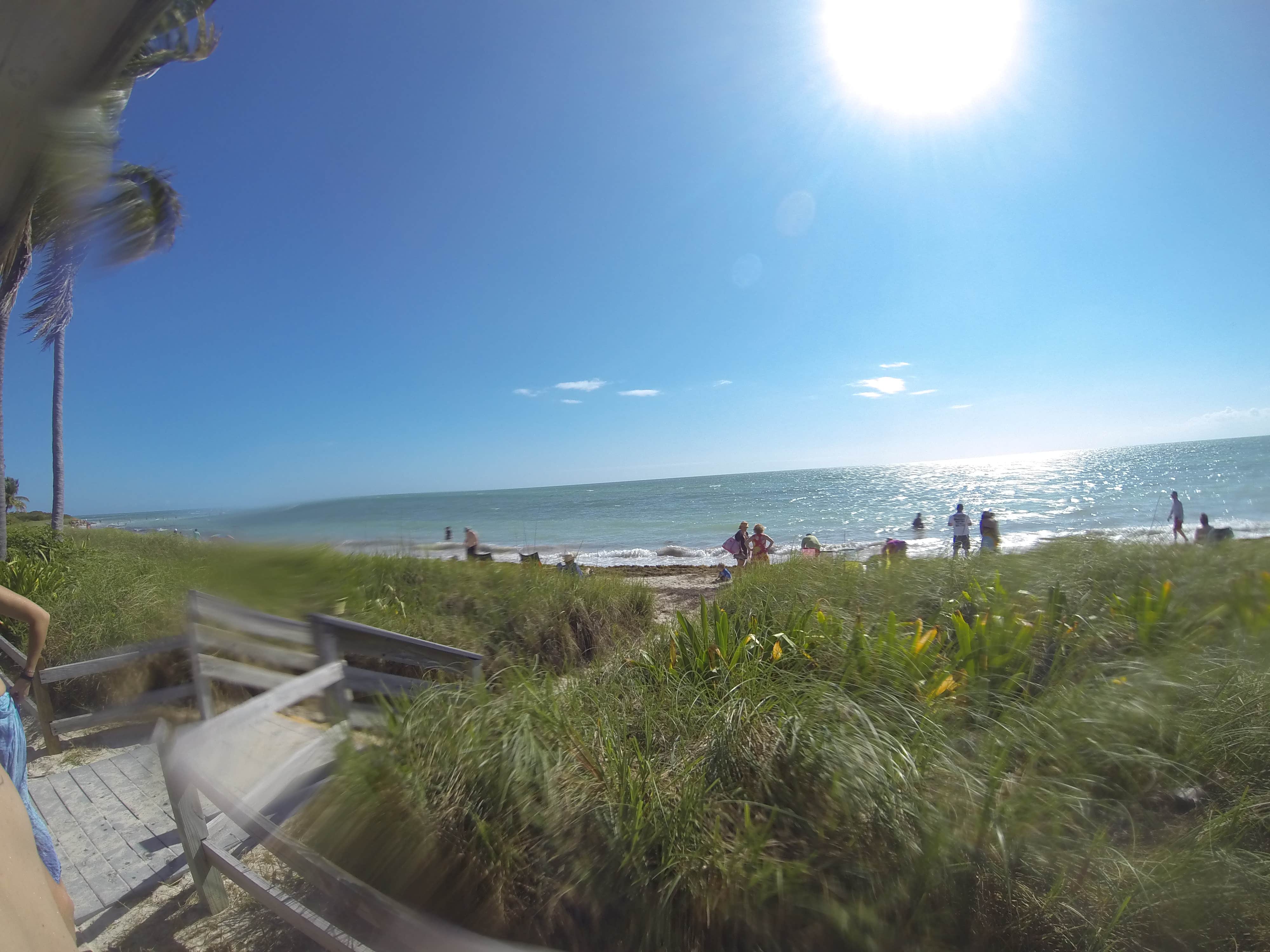 Camper submitted image from Buttonwood Campground — Bahia Honda State Park - 3
