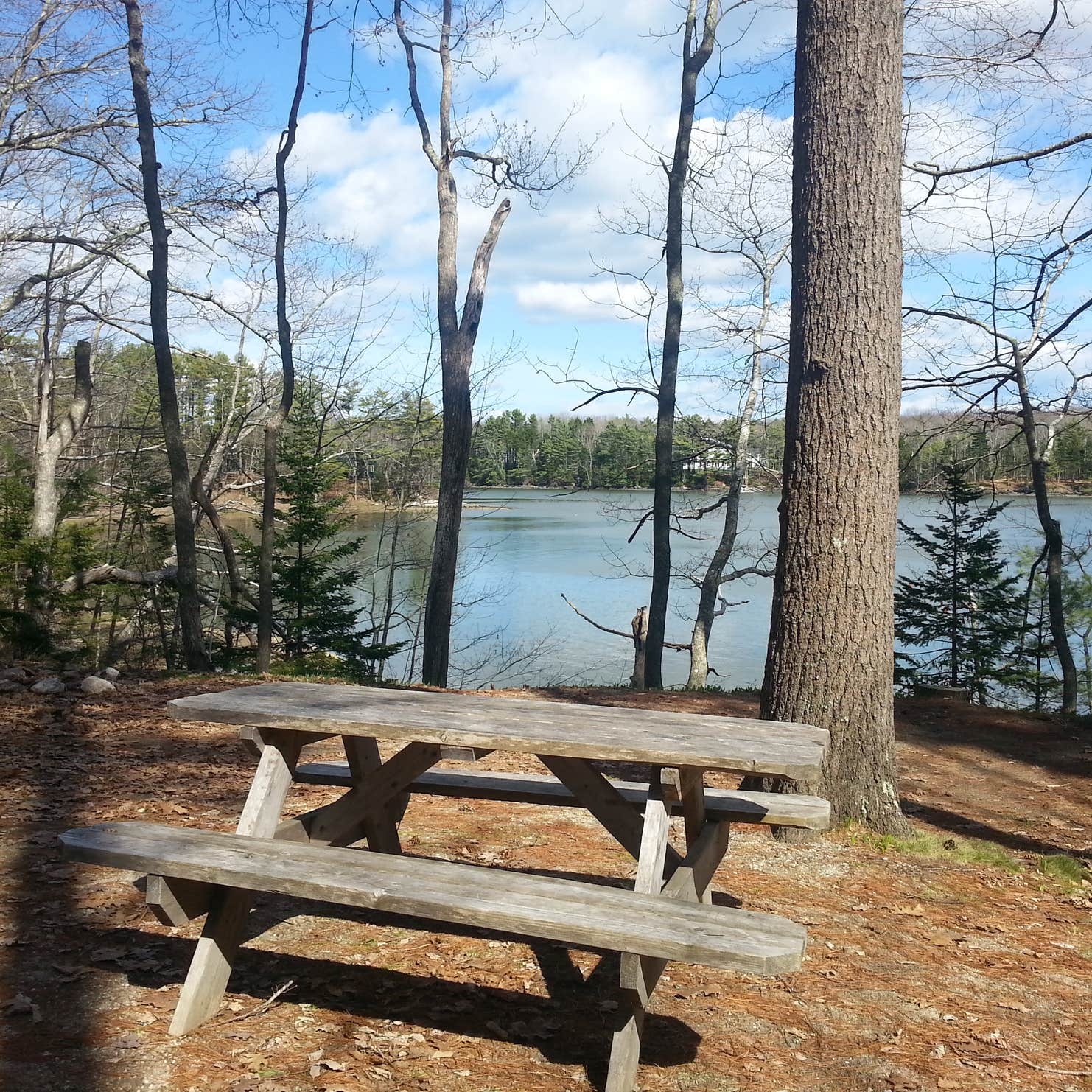 Wolfe's Neck Oceanfront Campground Camping The Dyrt