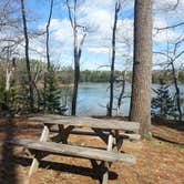 Review photo of Wolfe's Neck Oceanfront Campground by Nancy W., July 22, 2017