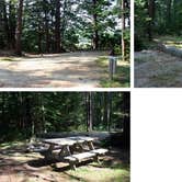 Review photo of Wolfe's Neck Oceanfront Campground by Nancy W., July 22, 2017