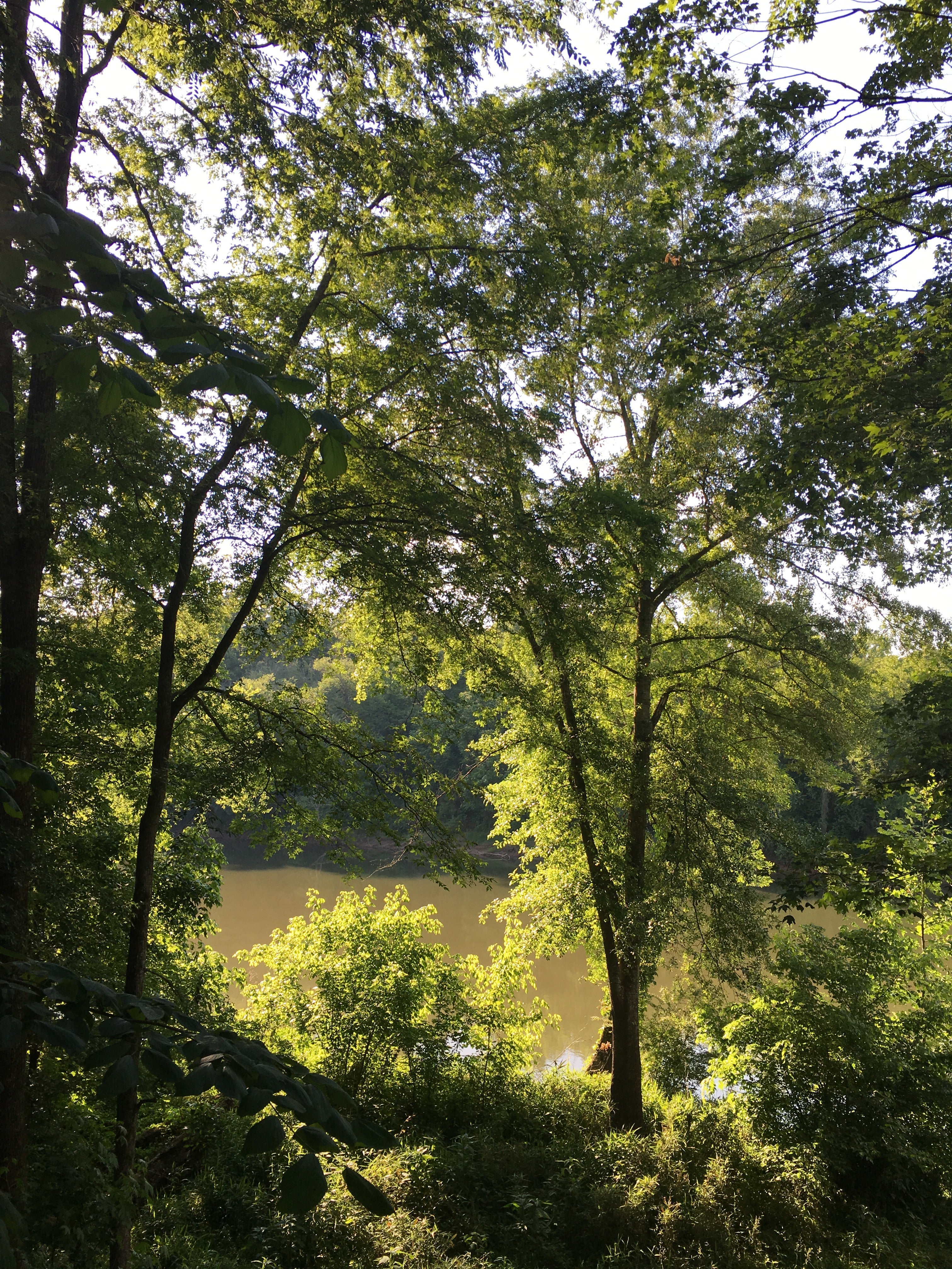 Camper submitted image from Chattahoochee Bend State Park - 2