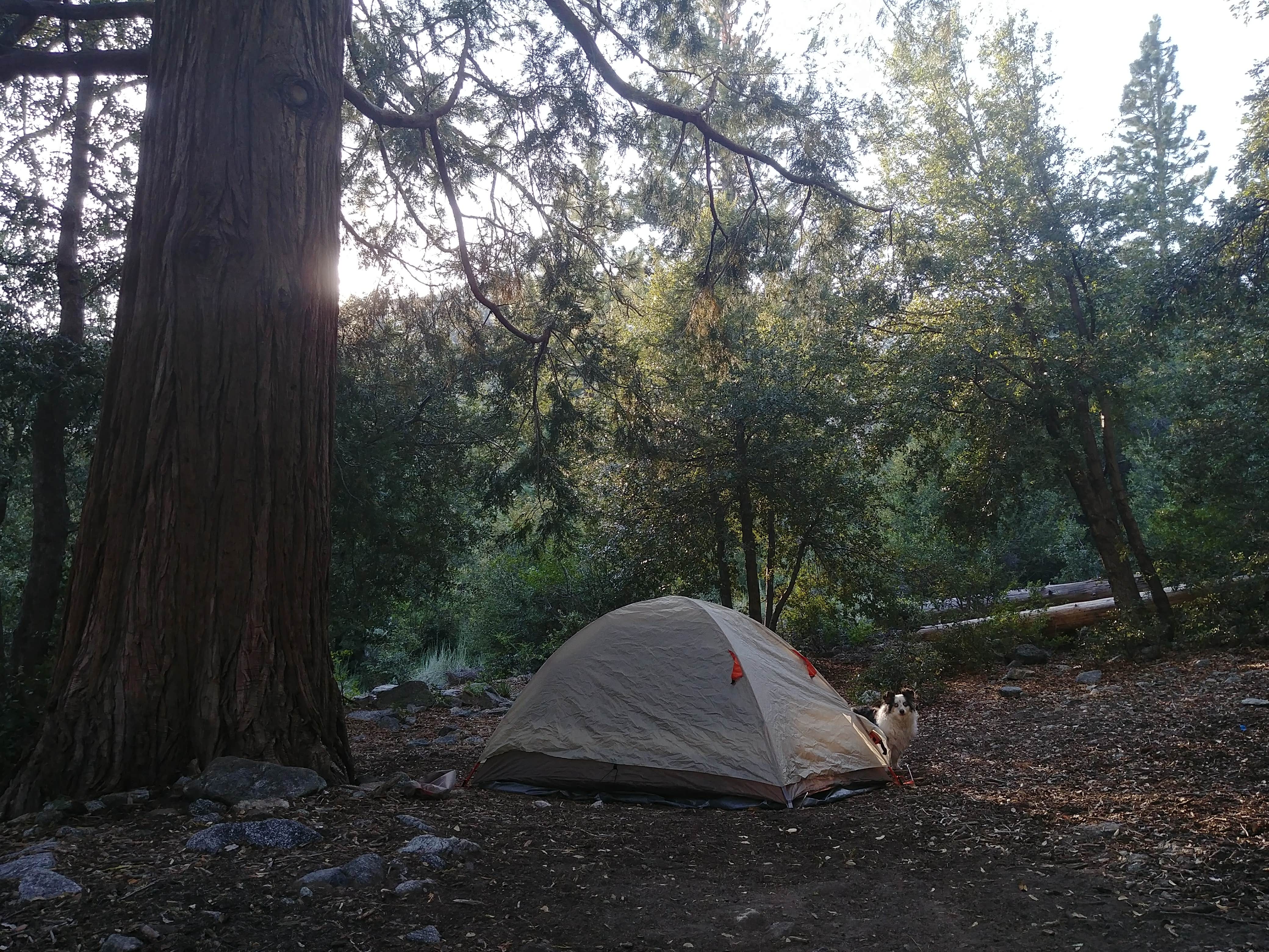 Camper submitted image from Crystal Lake Rec Area Campground - 5