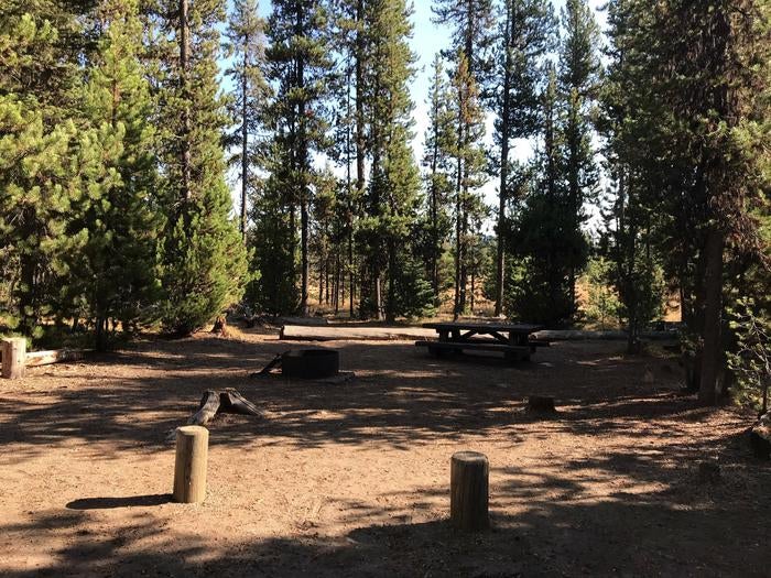 Camper submitted image from Mallard Marsh Campground - 3