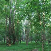 Review photo of Chattahoochee Bend State Park Campground by Dori H., June 28, 2016