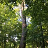 Review photo of Chattahoochee Bend State Park Campground by Dori H., June 28, 2016