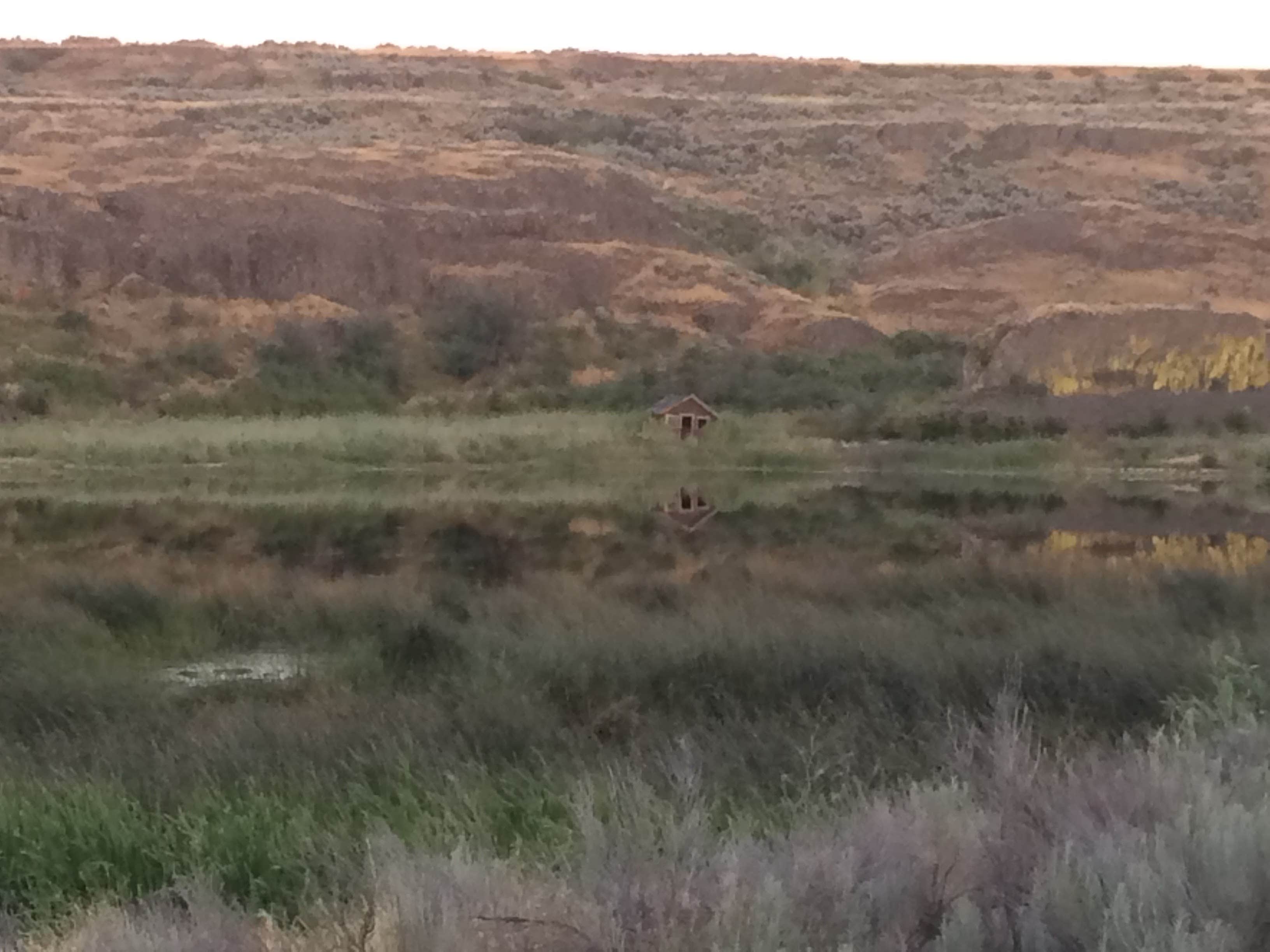 Camper submitted image from Coffeepot Lake - 1