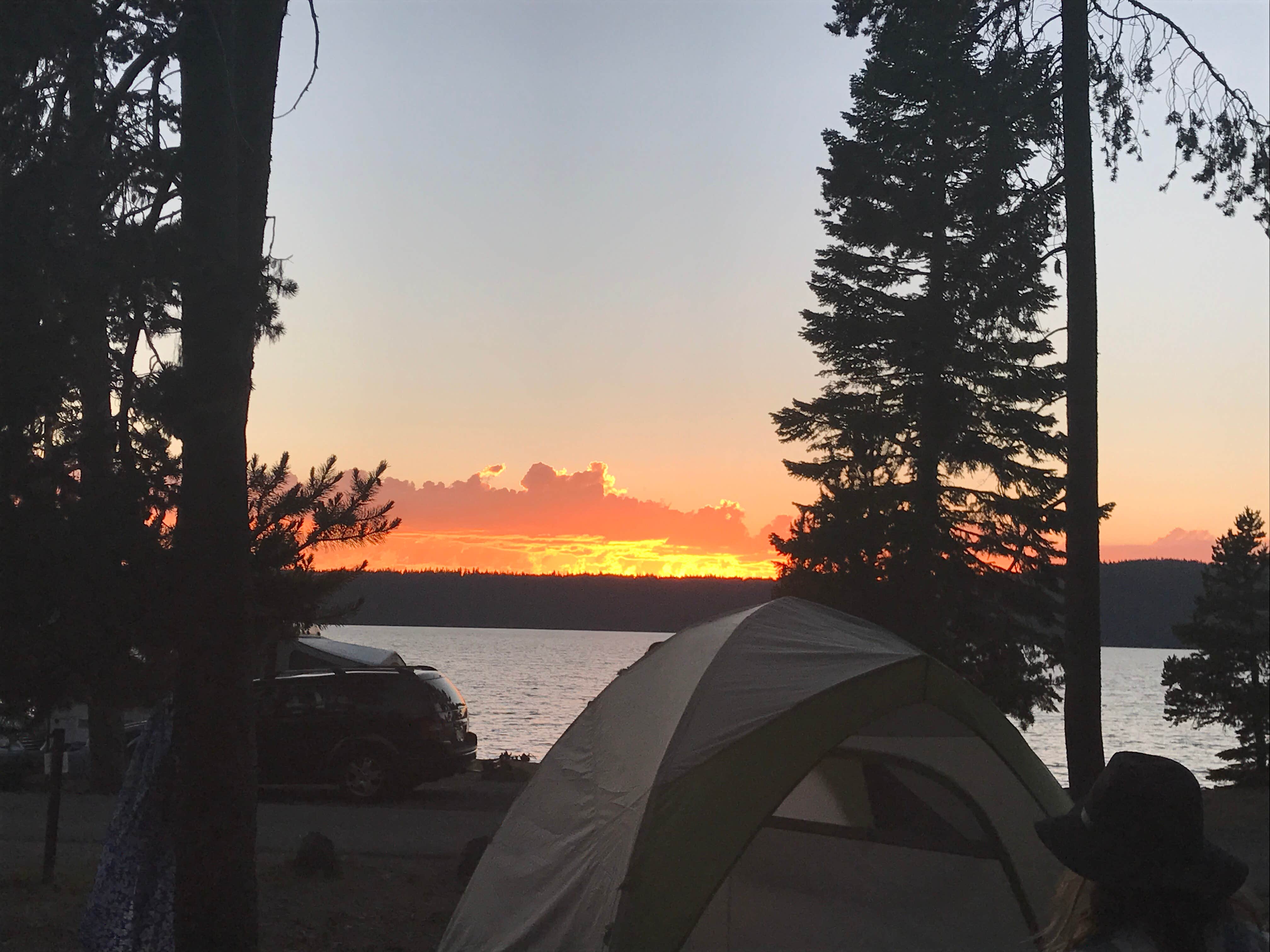 Rhiannon S.'s photo at Little Crater Campground near Silver Lake, OR