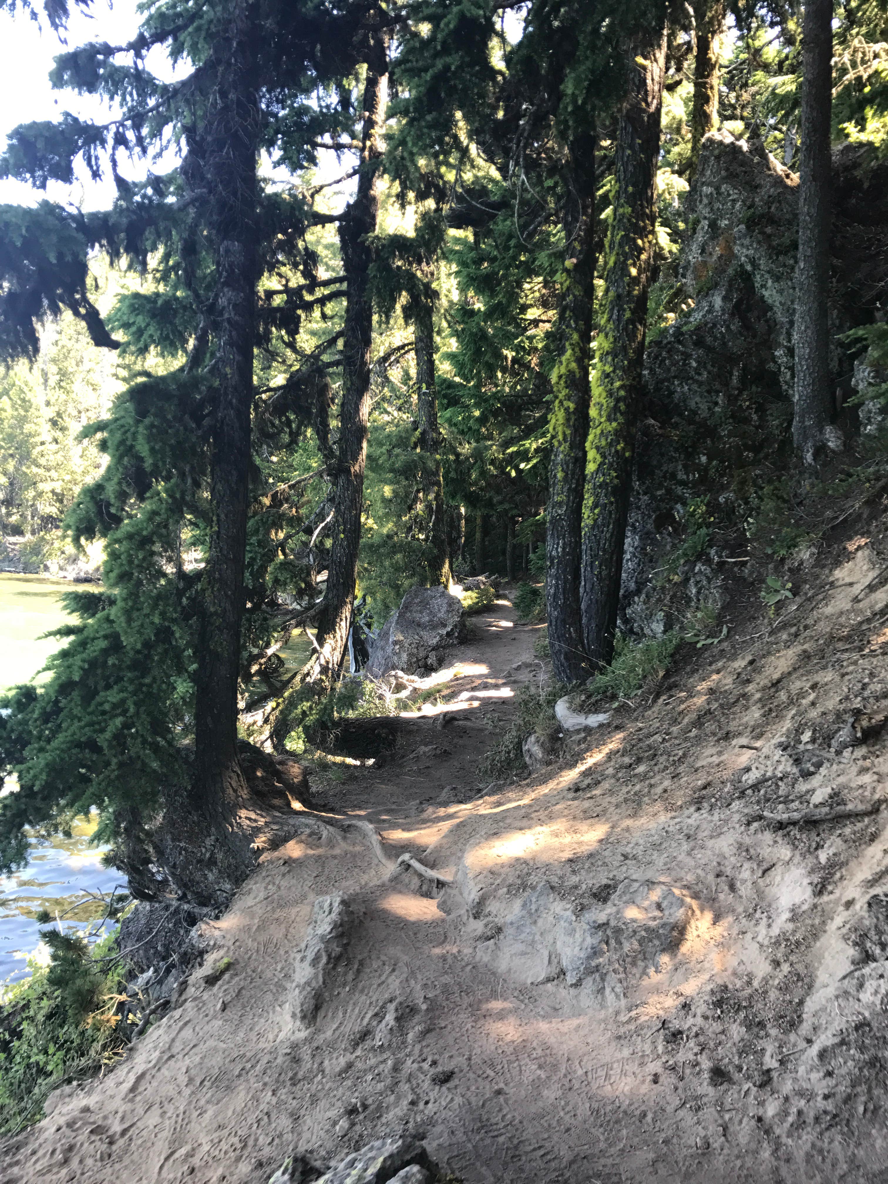 Nature