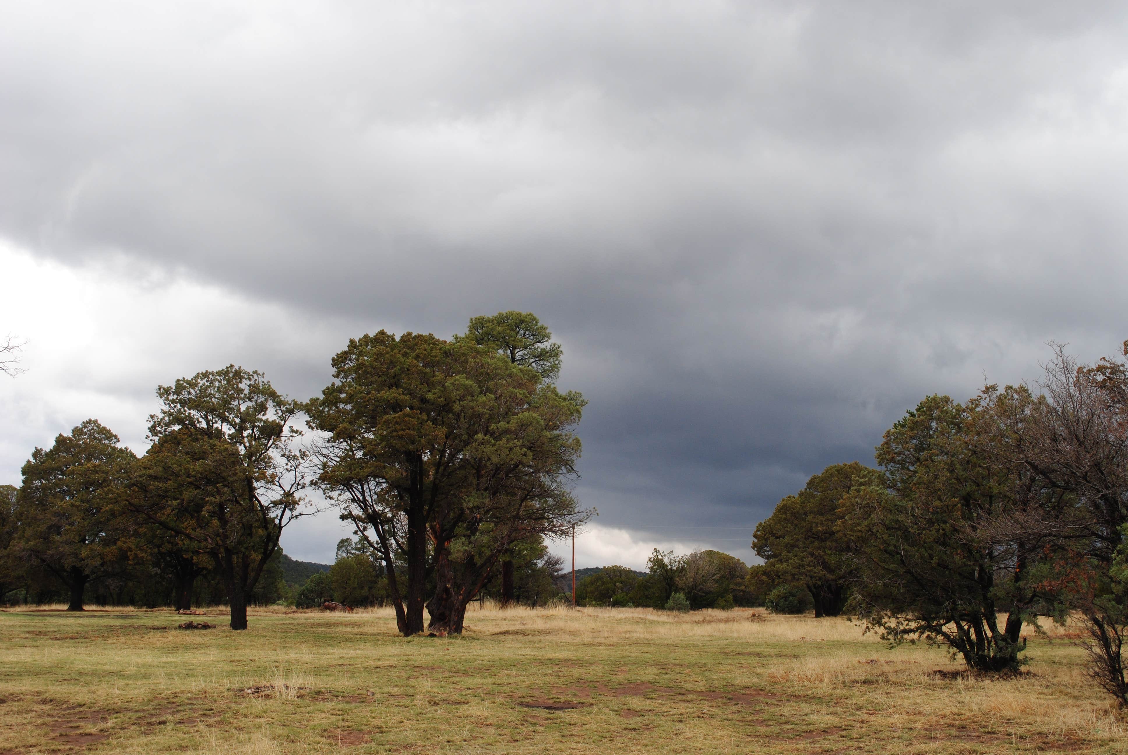 Camper-submitted photo at Baca Campground near Roswell, NM
