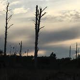 Review photo of Fort Pickens Campground — Gulf Islands National Seashore by Dori H., June 28, 2016