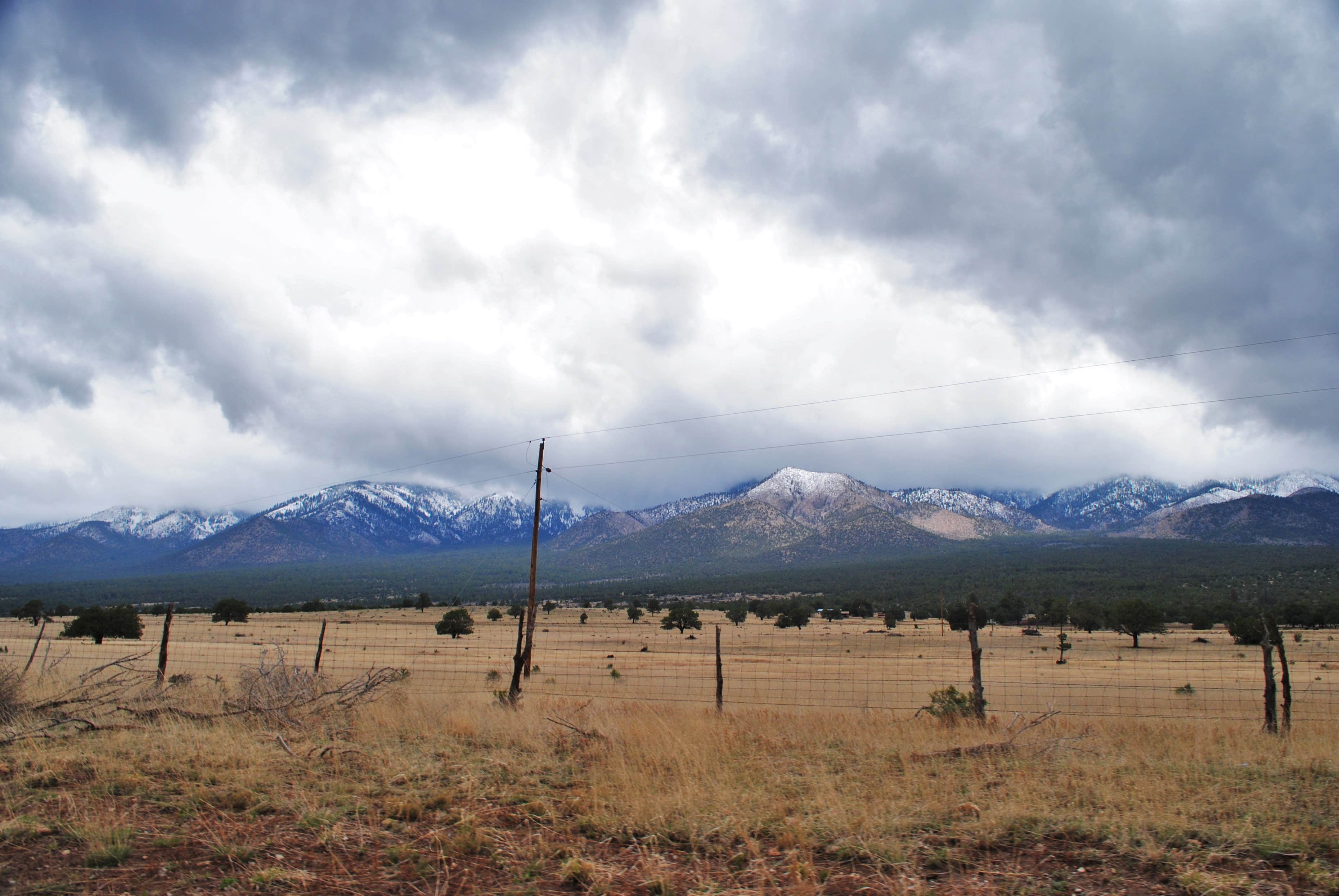 Camper-submitted photo at Baca Campground near Roswell, NM