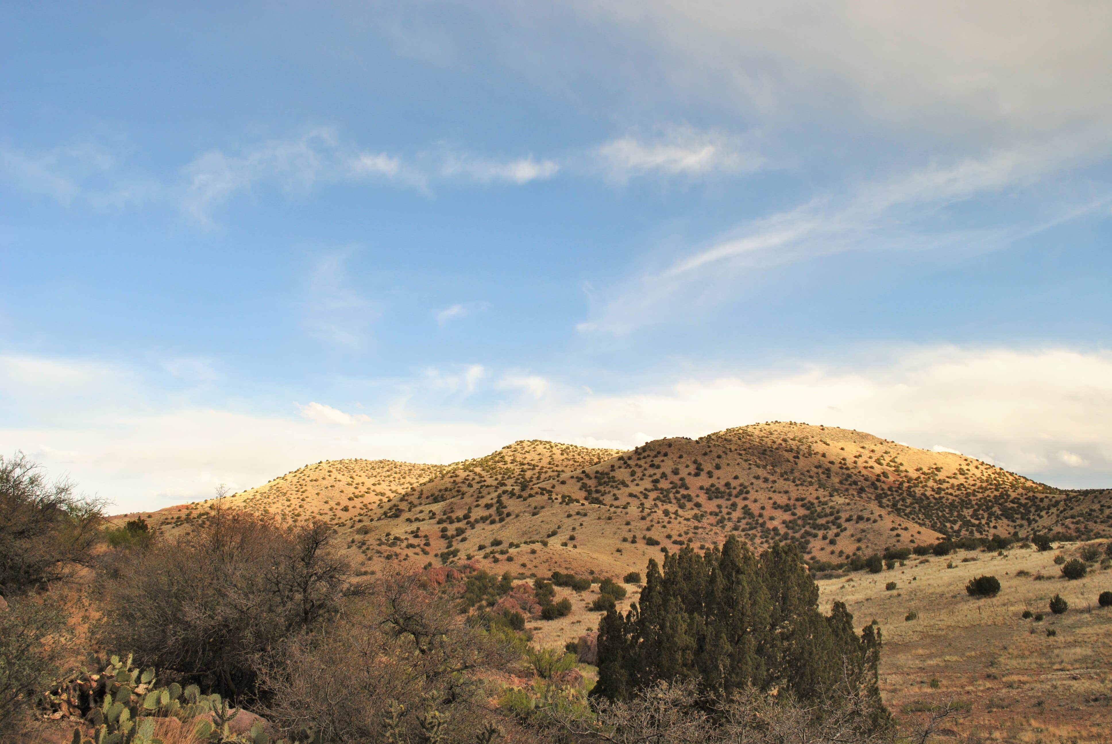 Escape To Enchantment: Uncovering The Magic Of New Mexico’s Water Canyon Campground