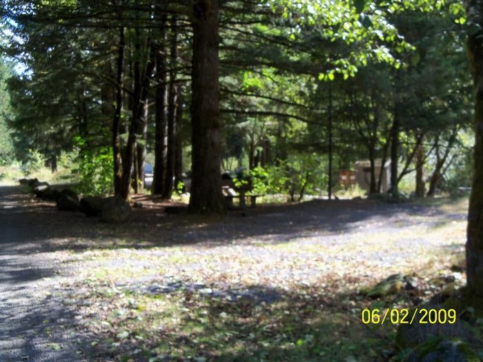 Camper submitted image from Santiam Flats Campground - 4