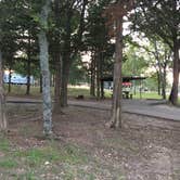 Review photo of Lost Bridge South by Matt S., July 23, 2017