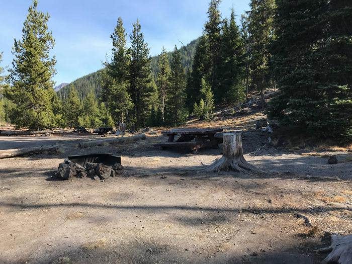 Camper submitted image from Soda Creek Campground - 3
