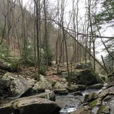 Review photo of Cloudland Canyon State Park Campground by Dori H., June 28, 2016