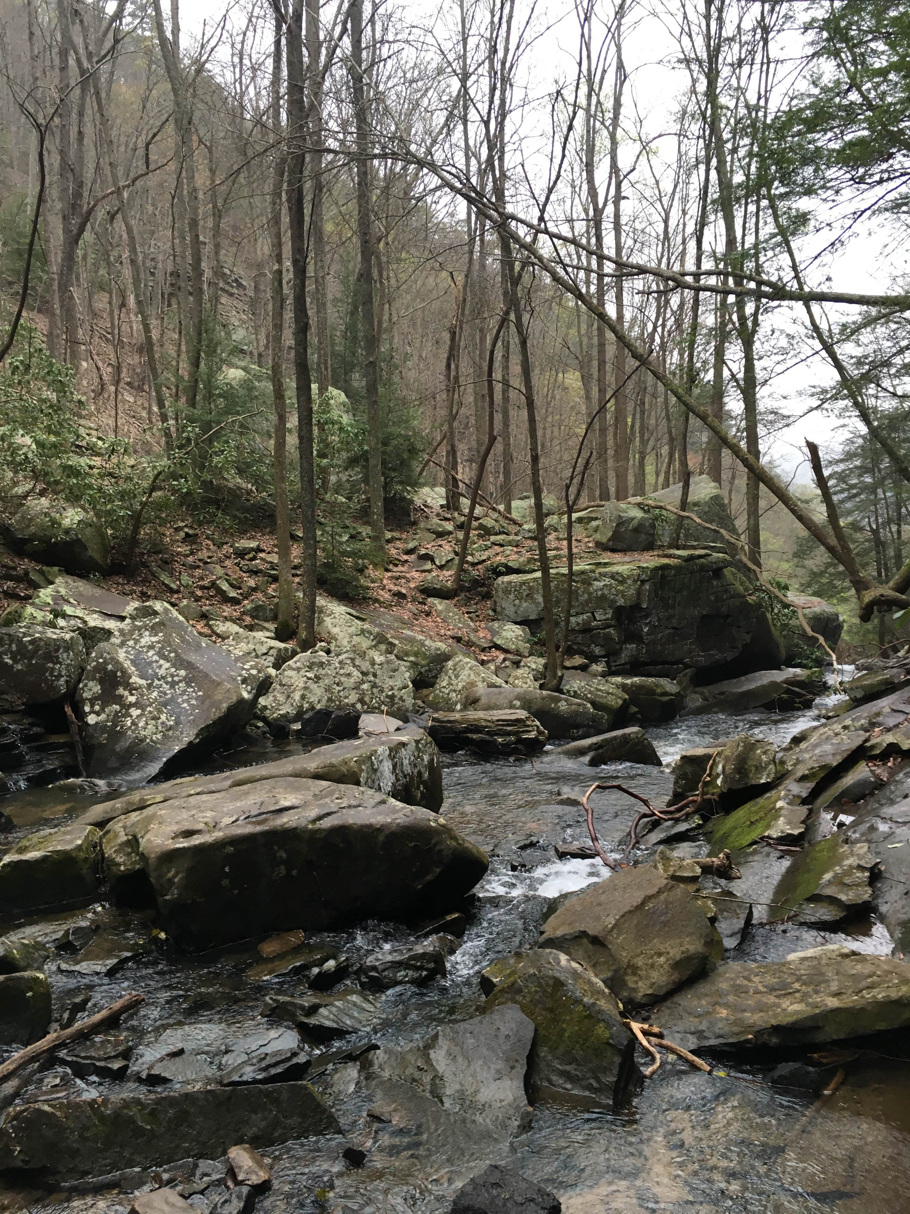 Camper submitted image from Cloudland Canyon State Park Campground - 5