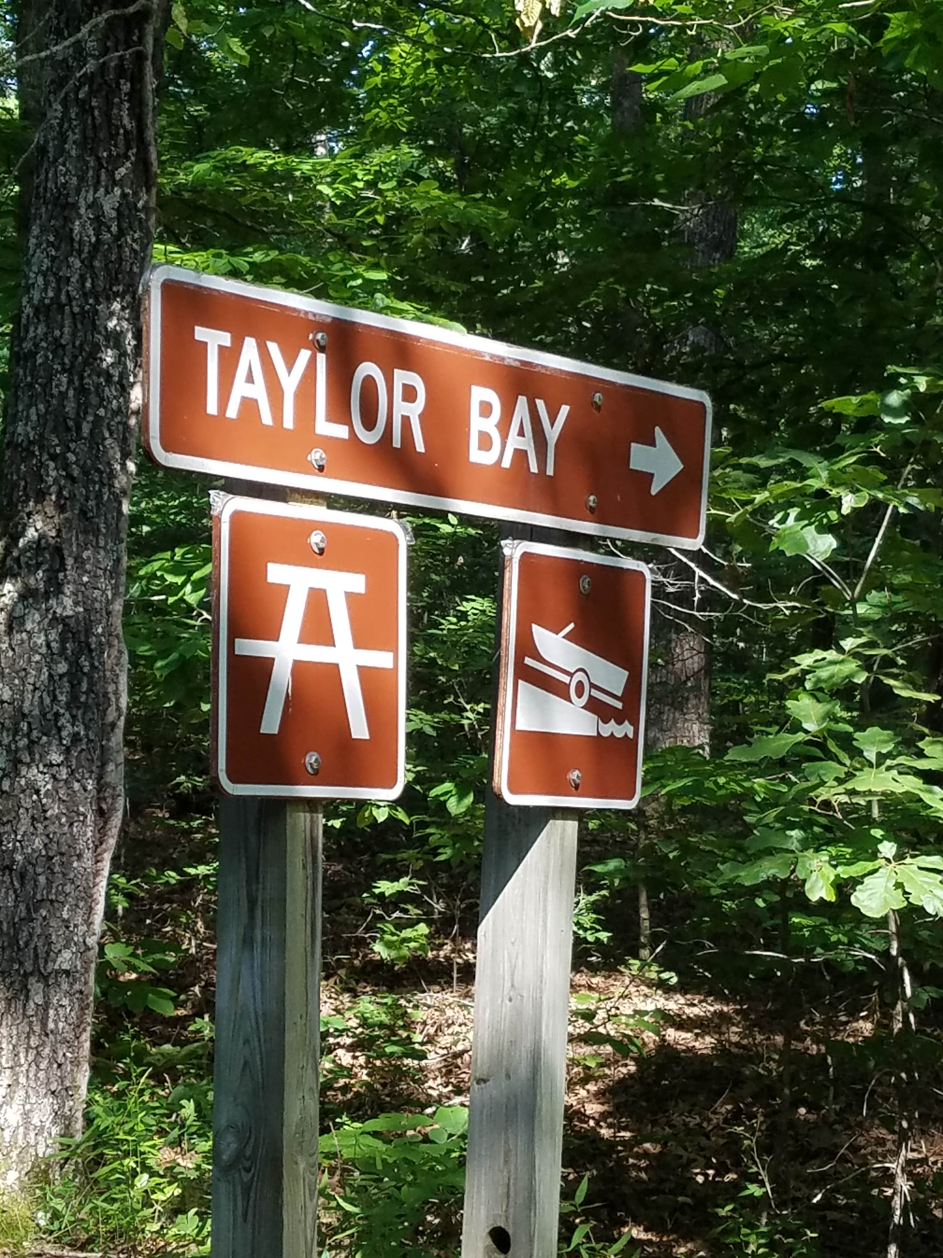 Camper submitted image from Taylor Bay Campground - 4