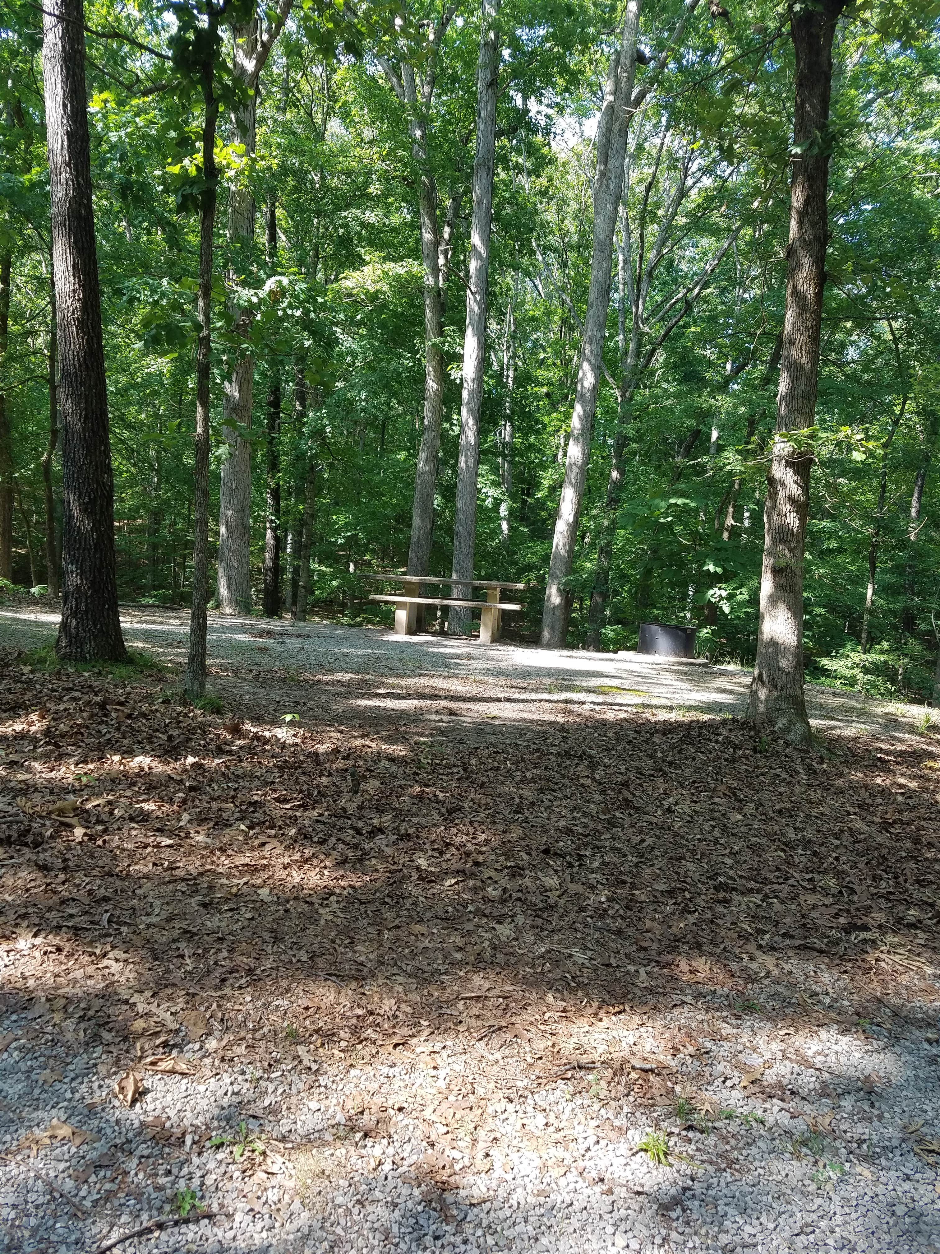 Camper-submitted photo at Taylor Bay Campground near Cadiz, KY