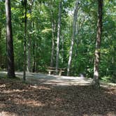 Review photo of Taylor Bay Campground by Staci R., July 23, 2017
