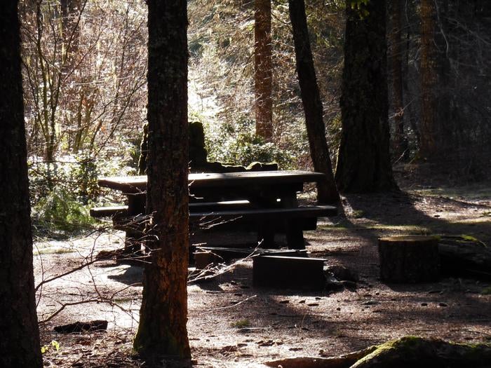 Camper submitted image from Union Creek Campground - Rogue River - TEMPORARILY CLOSED - 3