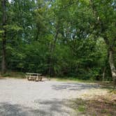 Review photo of Sugar Bay Campground by Staci R., July 23, 2017