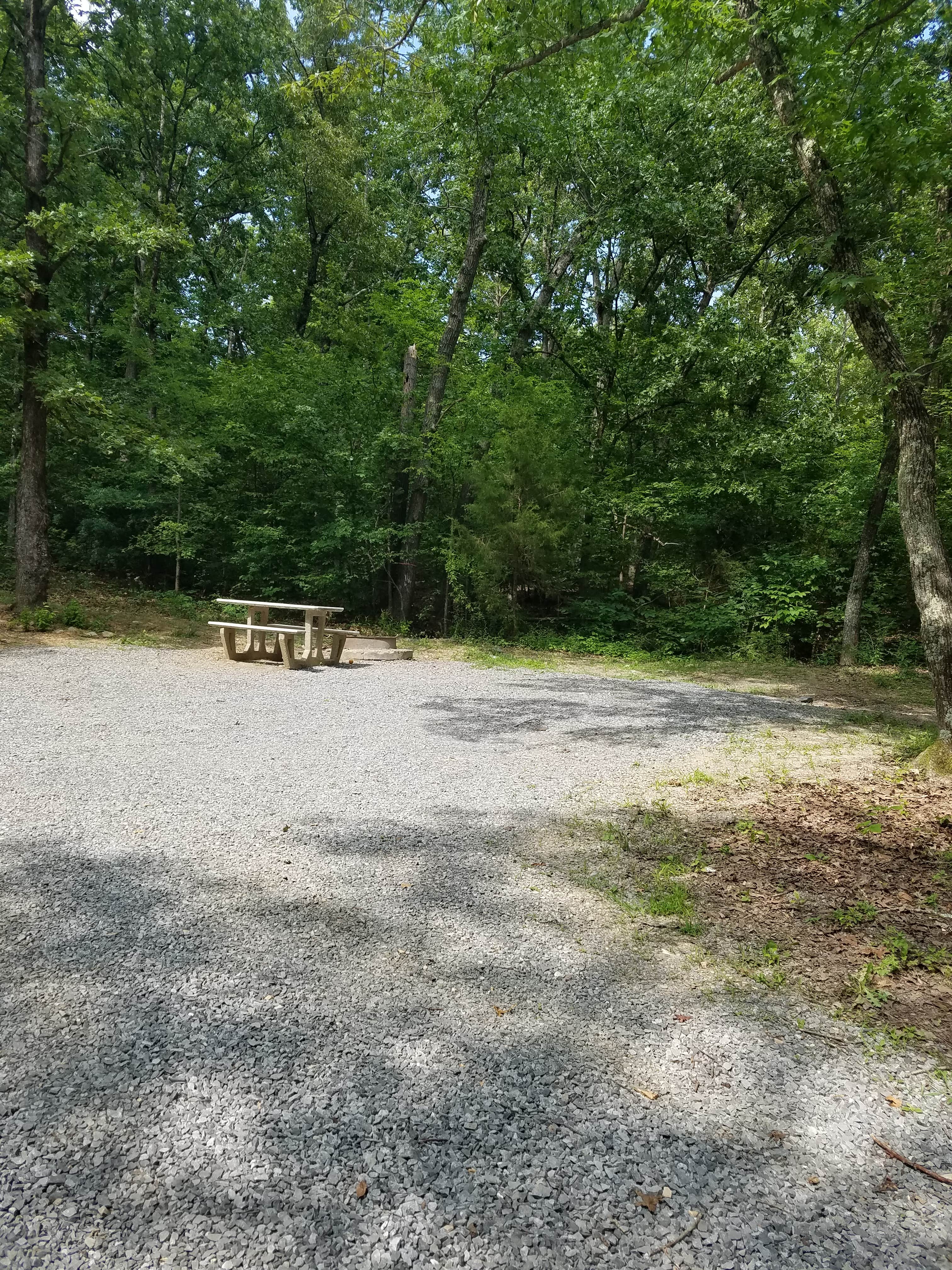 Camper submitted image from Sugar Bay Campground - 4