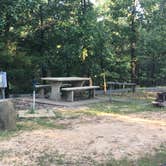 Review photo of Prairie Creek (AR) by Matt S., July 23, 2017