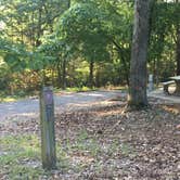 Review photo of Prairie Creek (AR) by Matt S., July 23, 2017