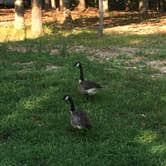 Review photo of Prairie Creek (AR) by Matt S., July 23, 2017