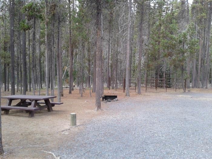 Camper submitted image from Whitefish Horse Camp - 5