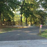 Review photo of Horseshoe Bend Rec Area & Campground by Matt S., July 23, 2017