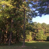 Review photo of Horseshoe Bend Rec Area & Campground by Matt S., July 23, 2017