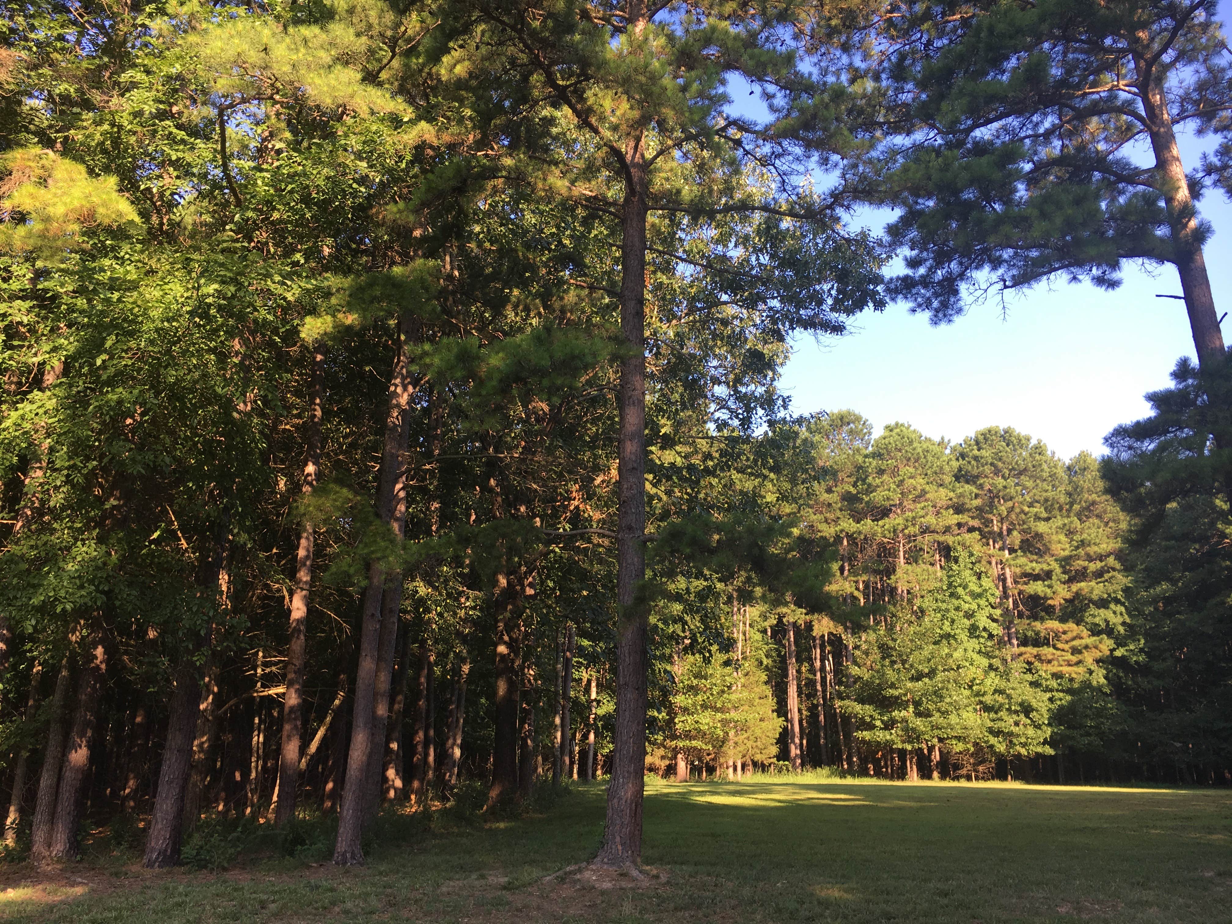 Horseshoe Bend Rec Area & Campground Rogers, AR