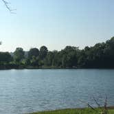Review photo of Hickory Creek - Beaver Lake by Matt S., July 23, 2017