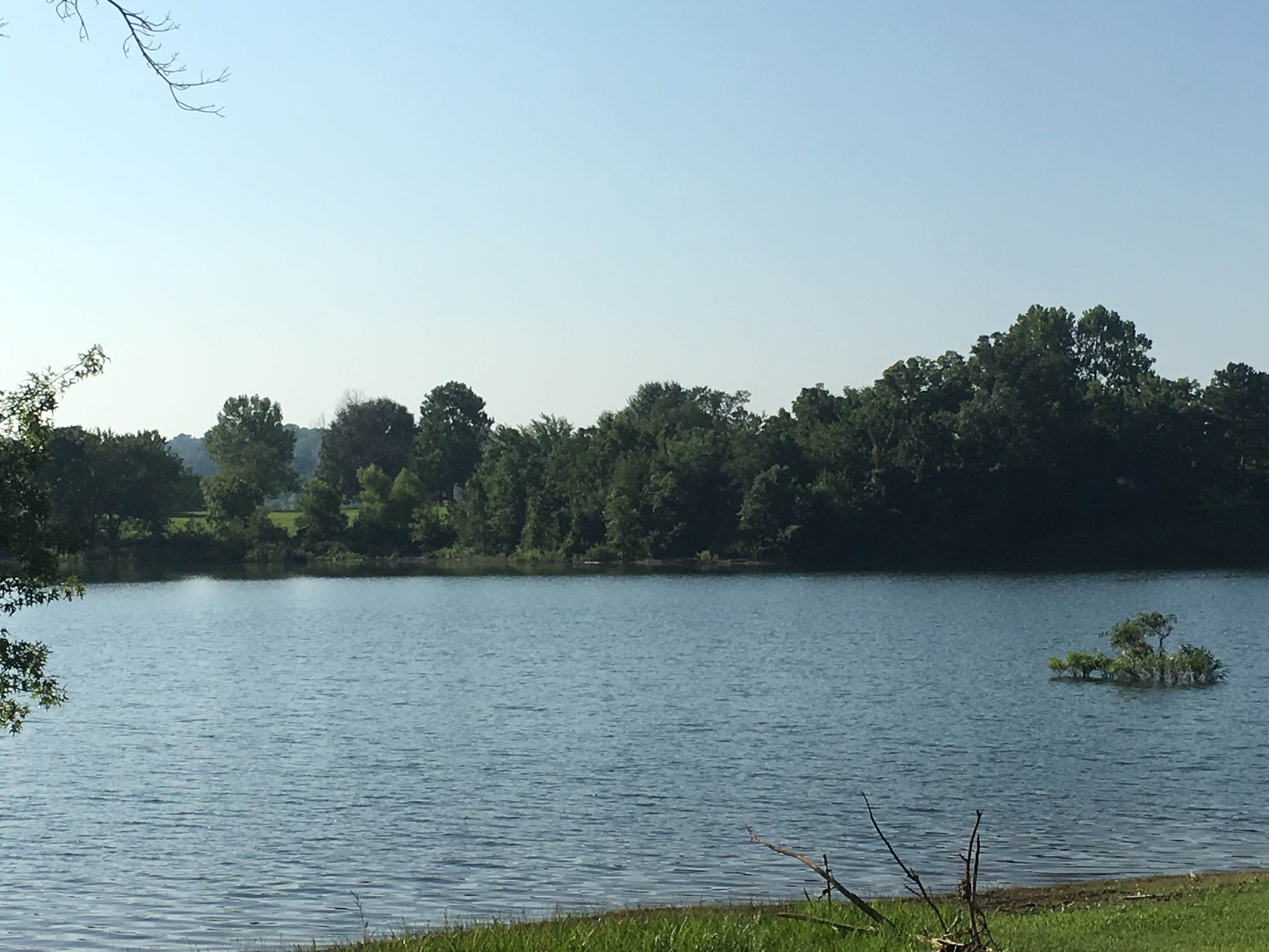 Camper submitted image from Hickory Creek - Beaver Lake - 4
