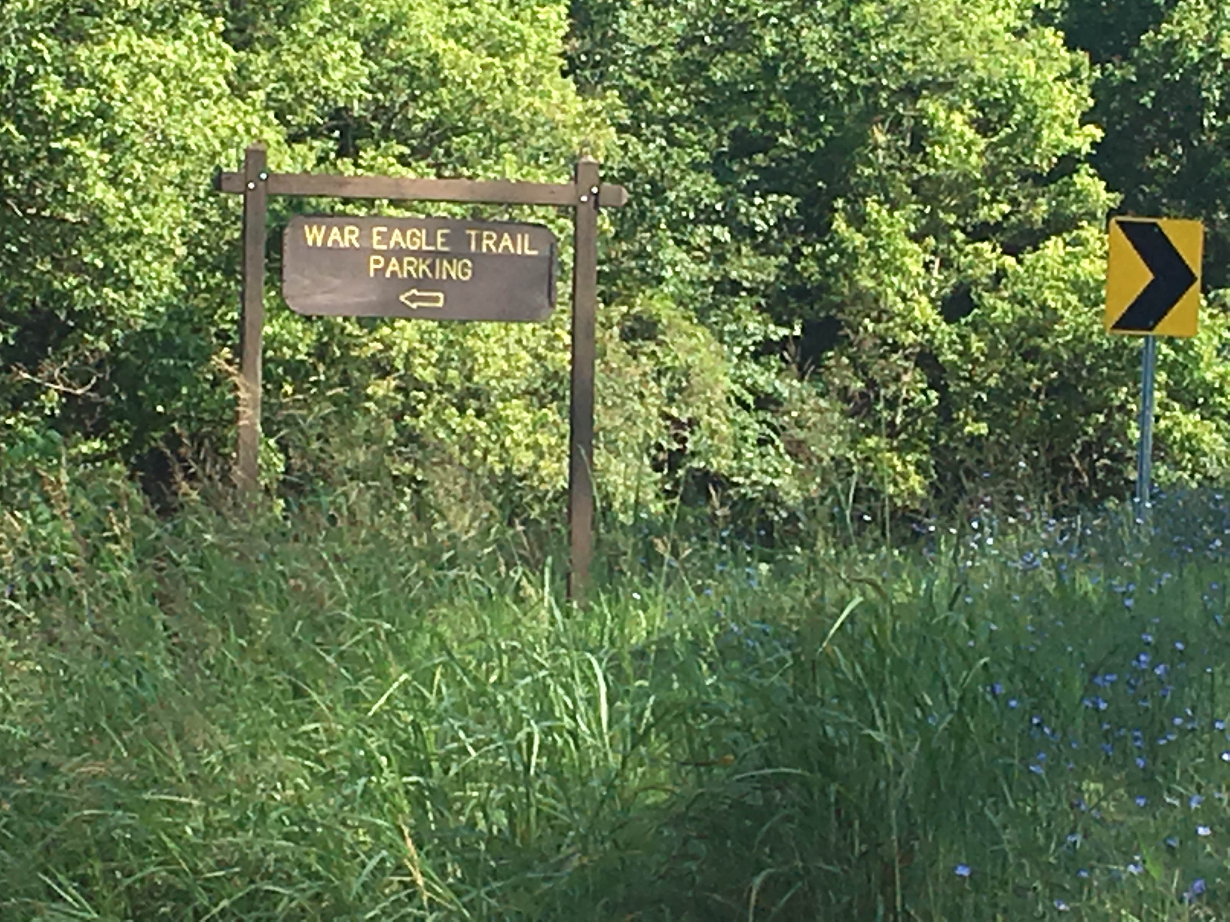 Camper-submitted photo at Withrow Springs State Park Campground near Berryville, AR