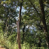Review photo of White Rock Mountain Recreation Area by Matt S., July 23, 2017