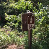 Review photo of White Rock Mountain Recreation Area by Matt S., July 23, 2017