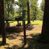 Review photo of White Rock Mountain Recreation Area by Matt S., July 23, 2017