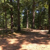 Review photo of White Rock Mountain Recreation Area by Matt S., July 23, 2017