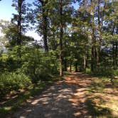 Review photo of White Rock Mountain Recreation Area by Matt S., July 23, 2017