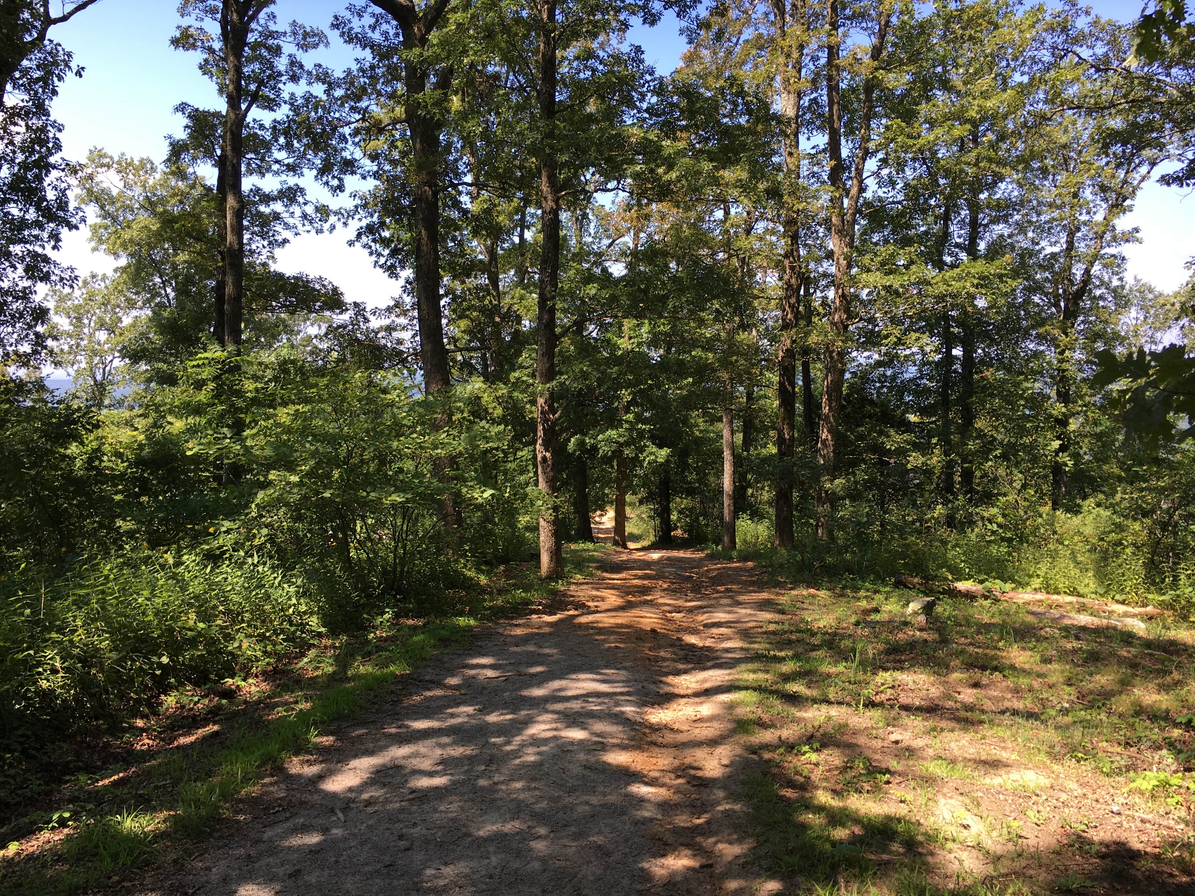 Camper submitted image from White Rock Mountain Recreation Area - 3
