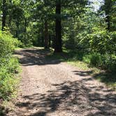 Review photo of White Rock Mountain Recreation Area by Matt S., July 23, 2017