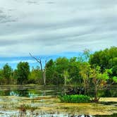 Review photo of Brazos Bend State Park Campground by Eby H., July 23, 2017