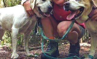 Eby H.'s photo of camping with pets at Brazos Bend State Park Campground near Bellaire, TX