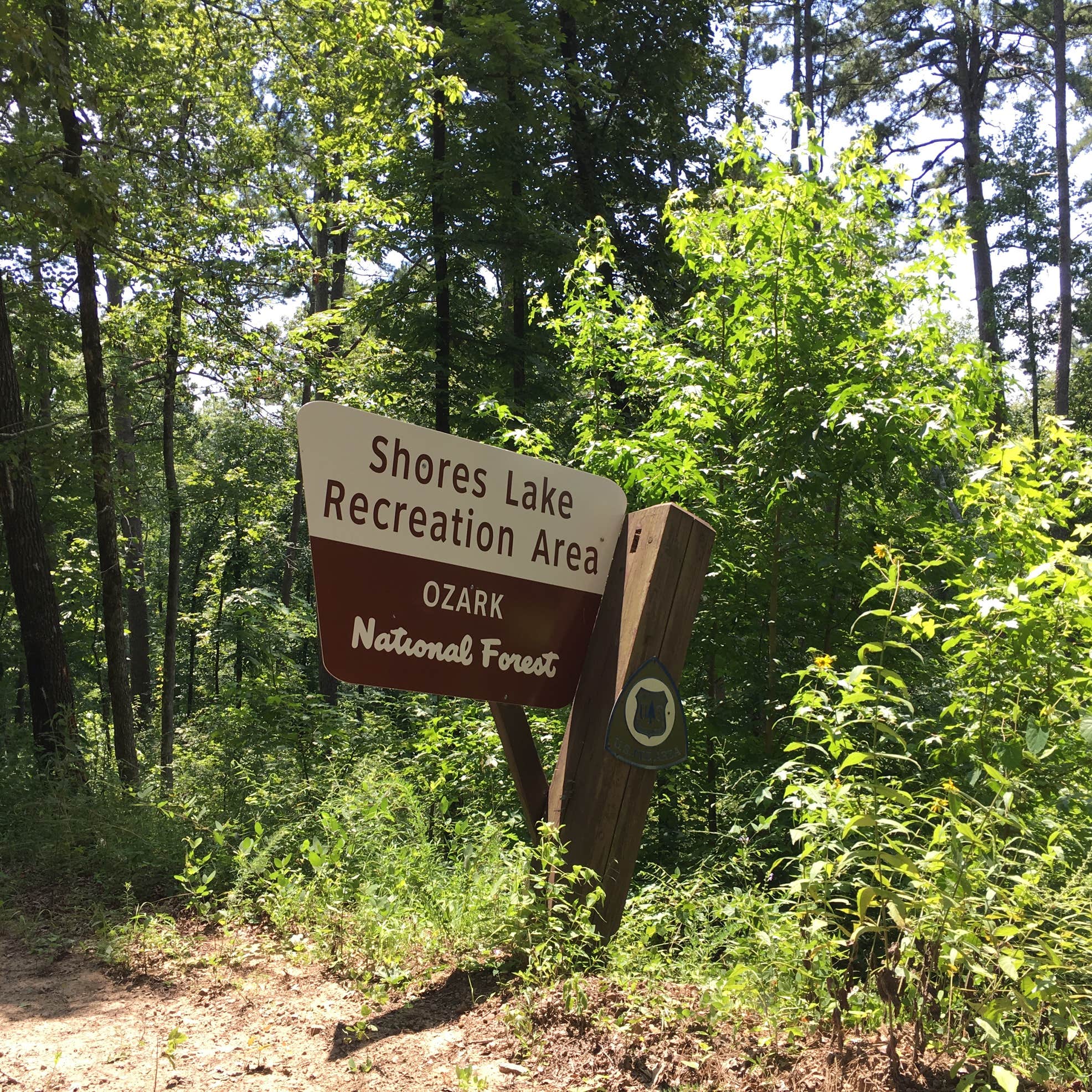 Shores Lake Camping | The Dyrt